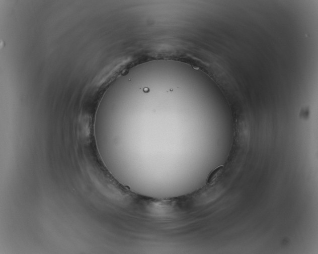 X0000111830232200907301327