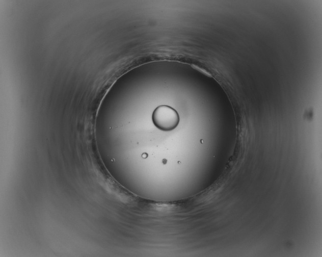 X0000111830233200907301327