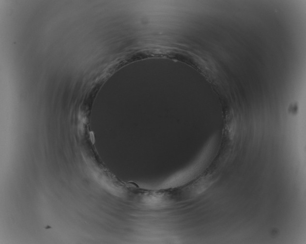 X0000111830235200907301327