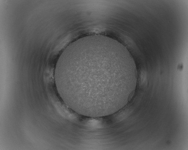 X0000111830236200907301327