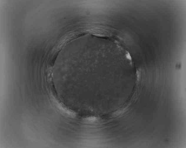 X0000111830237200907301327