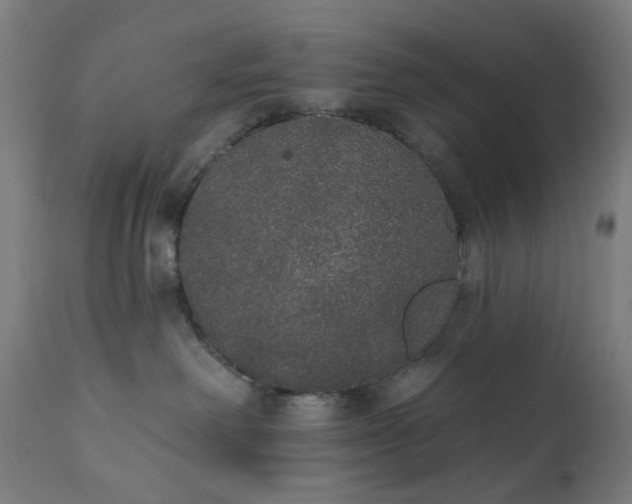 X0000111830238200907301327