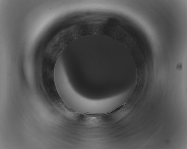 X0000111830239200907301327