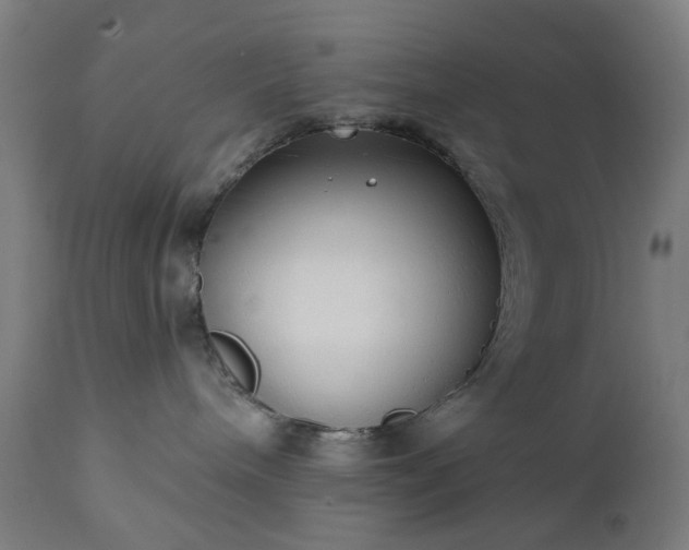 X0000111830240200907301327
