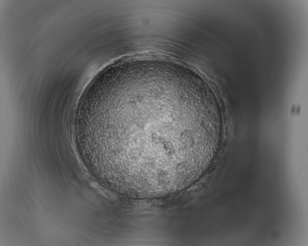 X0000111830241200907301327
