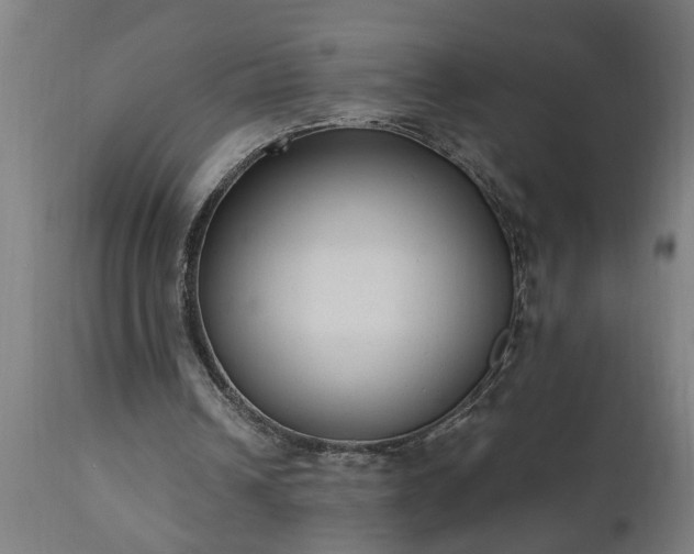 X0000111830242200907301327