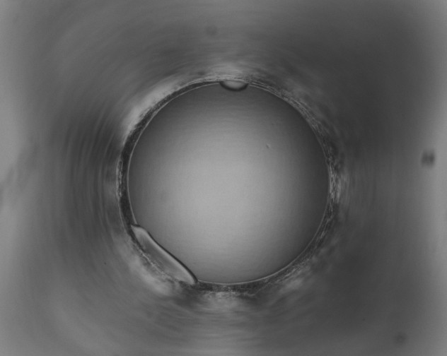 X0000111830244200907301327