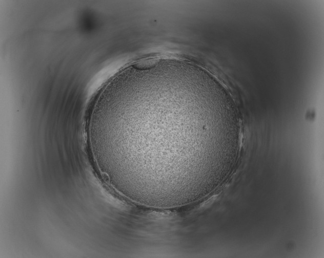 X0000111830245200907301327