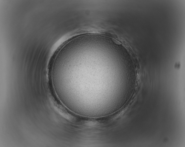 X0000111830246200907301327