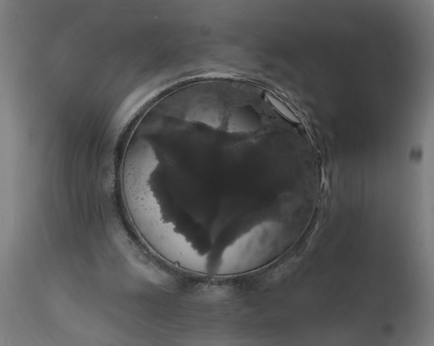 X0000111830247200907301327