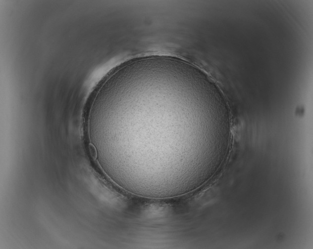 X0000111830248200907301327
