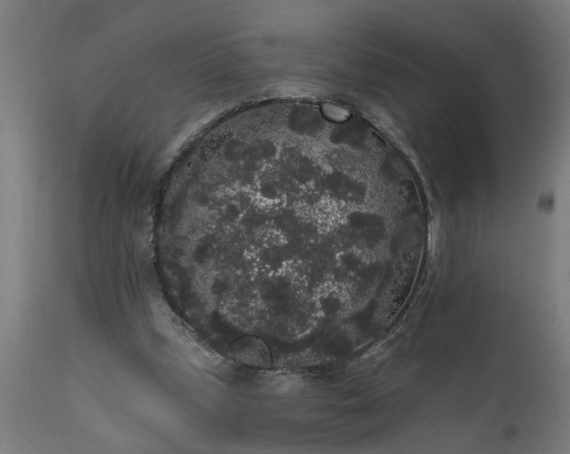 X0000111830249200907301327