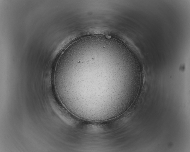 X0000111830250200907301327
