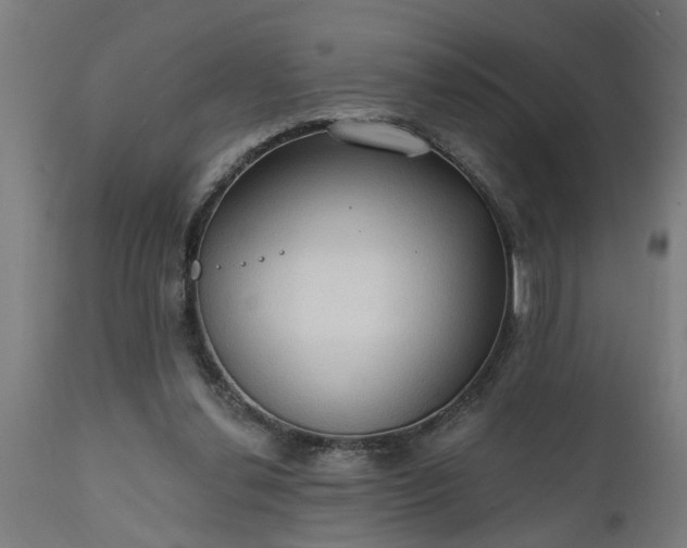 X0000111830252200907301327