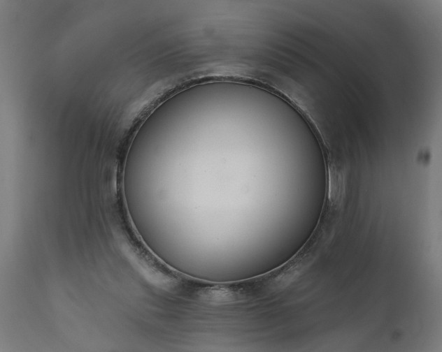X0000111830253200907301327