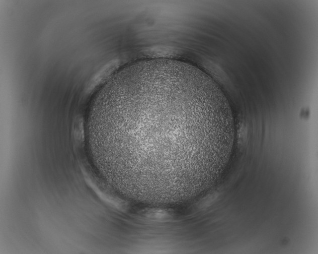 X0000111830254200907301327