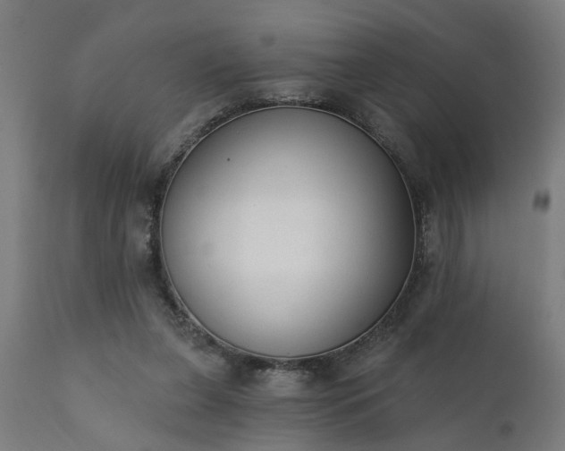 X0000111830255200907301327