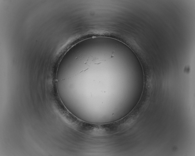 X0000111830256200907301327
