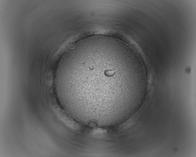 X0000111830257200907301327