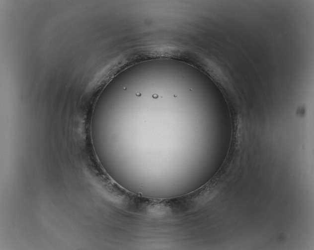 X0000111830258200907301327