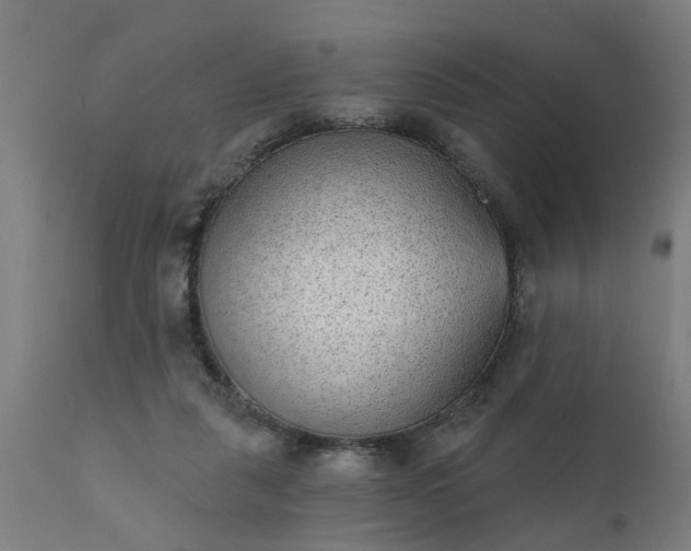 X0000111830259200907301327