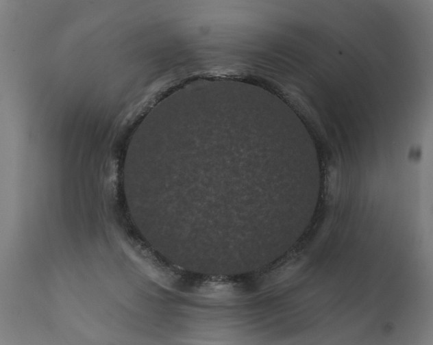 X0000111830260200907301327