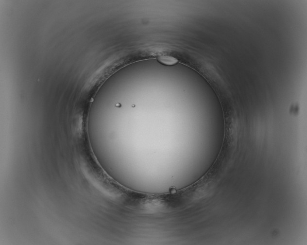X0000111830262200907301327