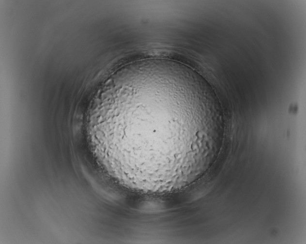 X0000111830263200907301327