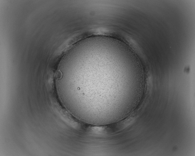 X0000111830265200907301327