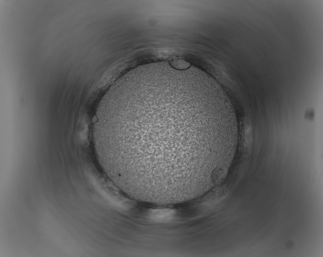 X0000111830266200907301327