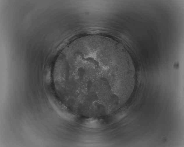 X0000111830267200907301327