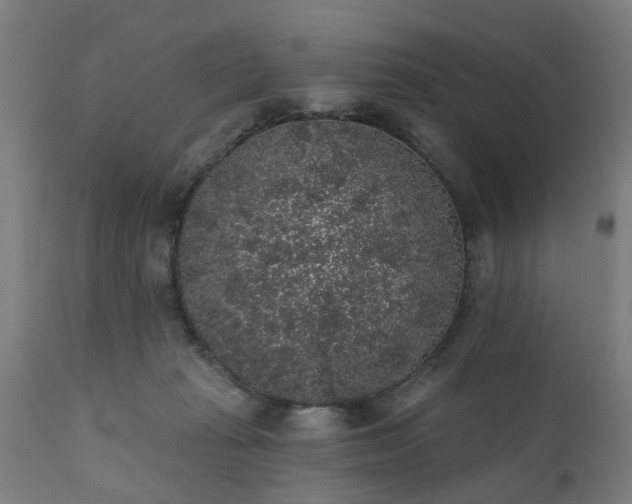 X0000111830269200907301327
