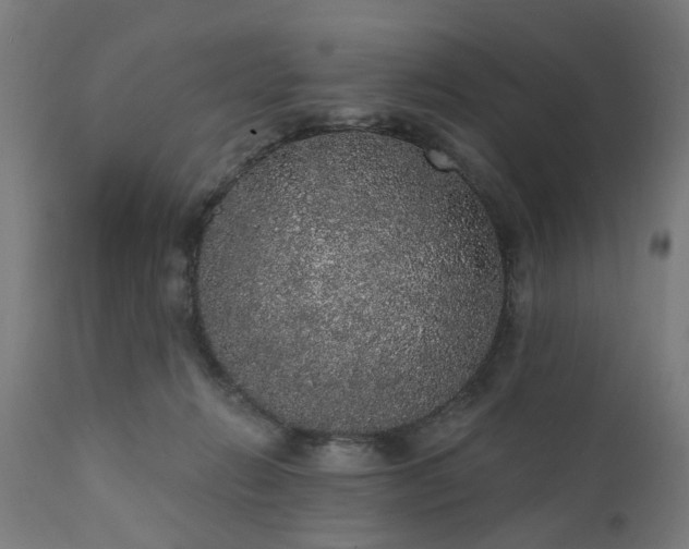 X0000111830270200907301327