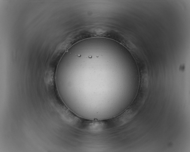 X0000111830274200907301327