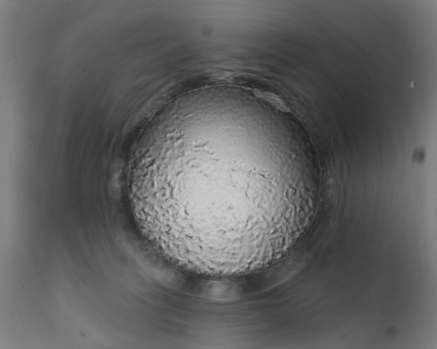 X0000111830275200907301327