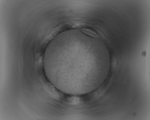 X0000111830276200907301327