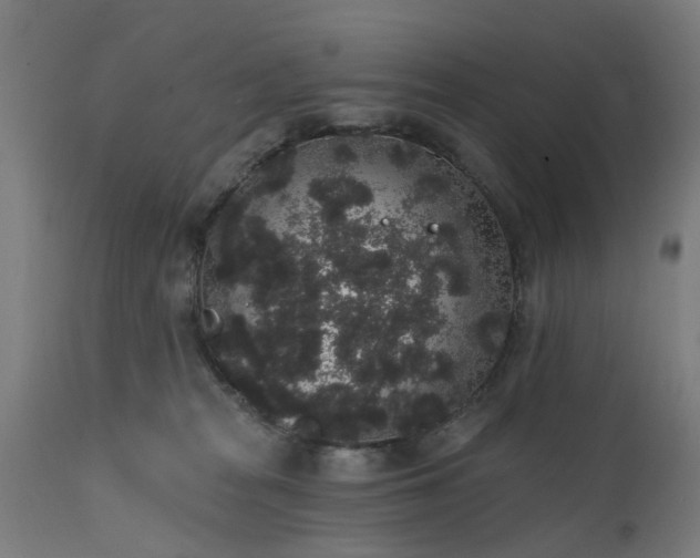 X0000111830277200907301327