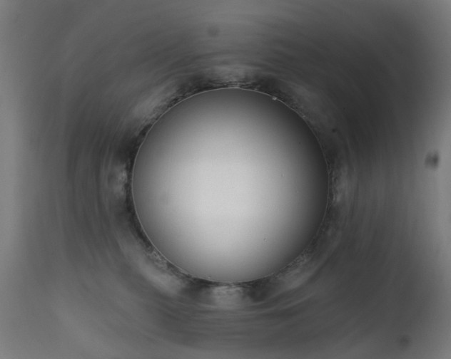 X0000111830279200907301327