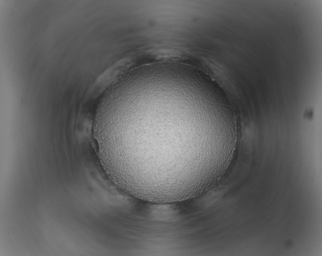 X0000111830281200907301327
