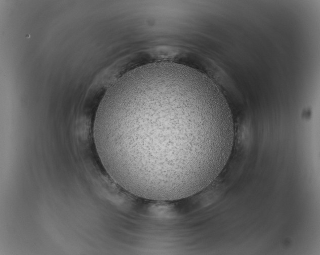 X0000111830283200907301327