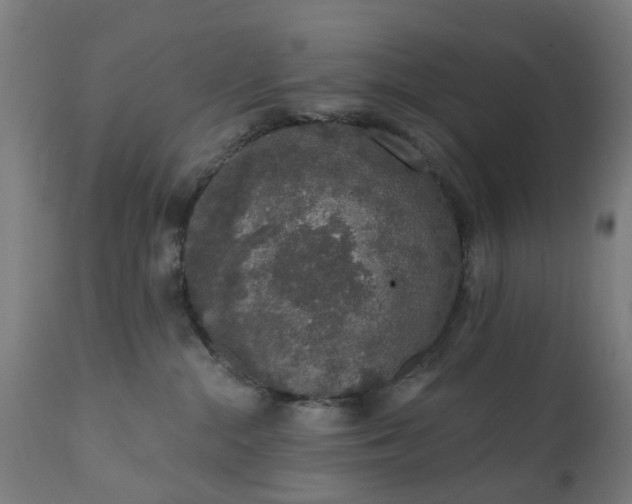 X0000111830284200907301327