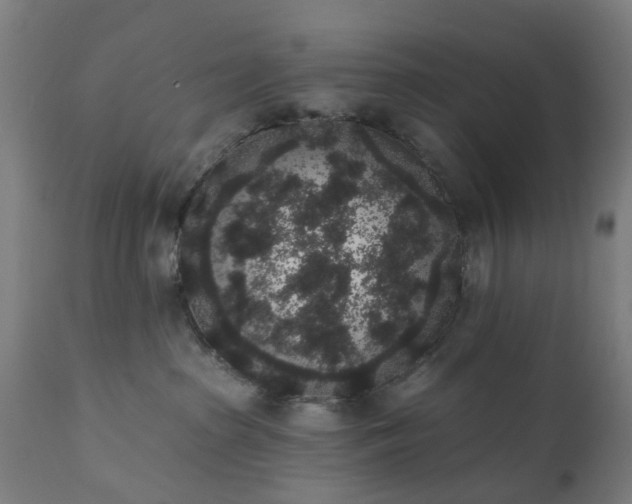 X0000111830285200907301327
