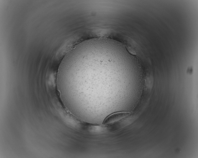 X0000111830286200907301327
