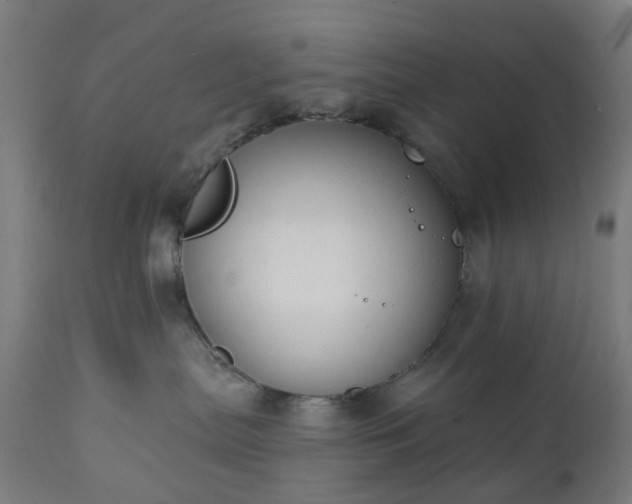 X0000111830287200907301327