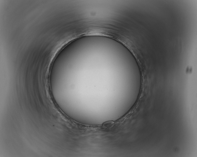 X0000111830289200907301327