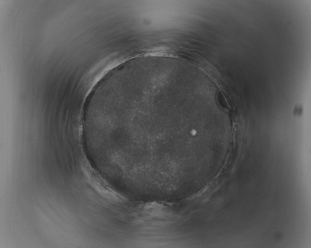 X0000111830290200907301327