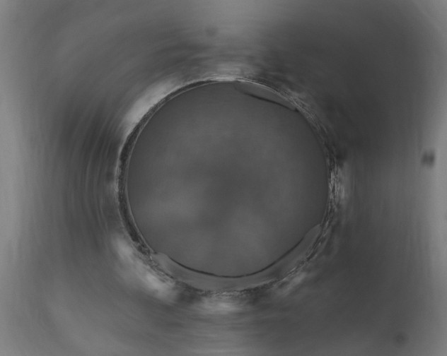 X0000111830292200907301326