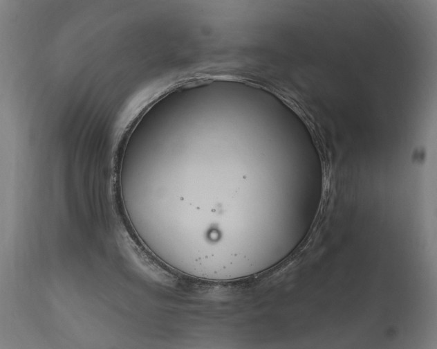 X0000111830293200907301326