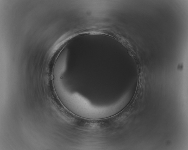 X0000111830295200907301326