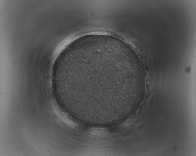X0000111830296200907301326